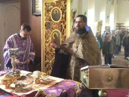 Неделя 16-я по Пятидесятнице